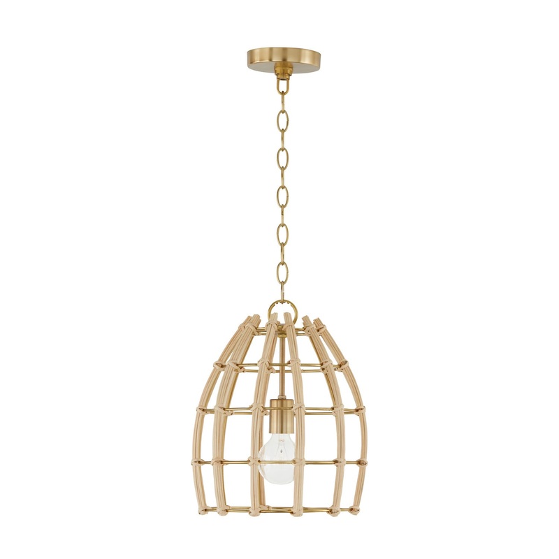 Capital Lighting 344111MA Wren One Light Pendant, Matte Brass