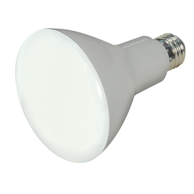 Satco S9622 Light Bulb, Frost