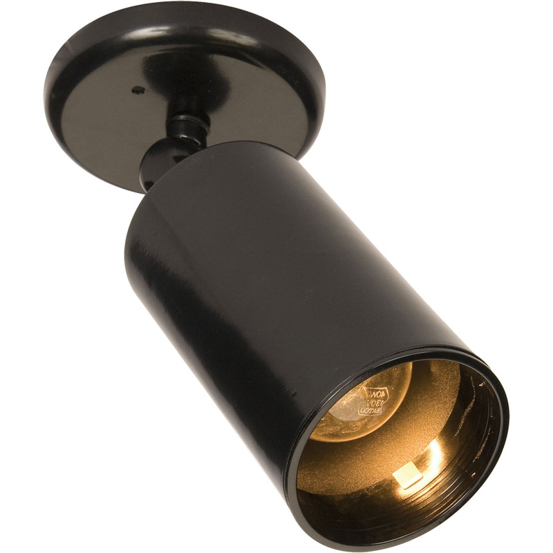 Maxim 92010BK Spots One Light Flush Mount, Black